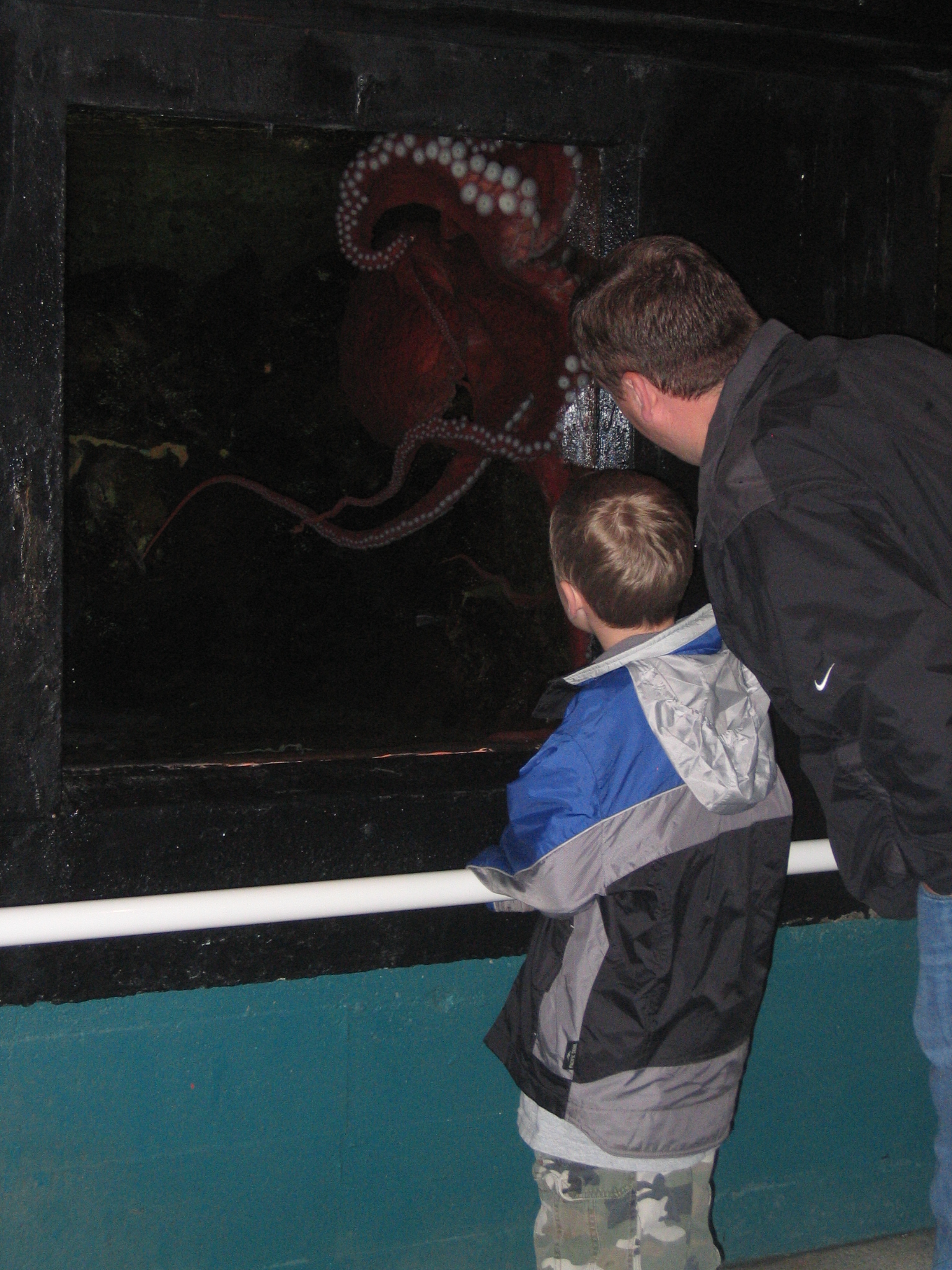 CannonBeach2007/15Matt_and_Riley_watching_the_octopus.jpg