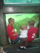 July2007/Seattle_Aquarium_July_9__2007_024.jpg