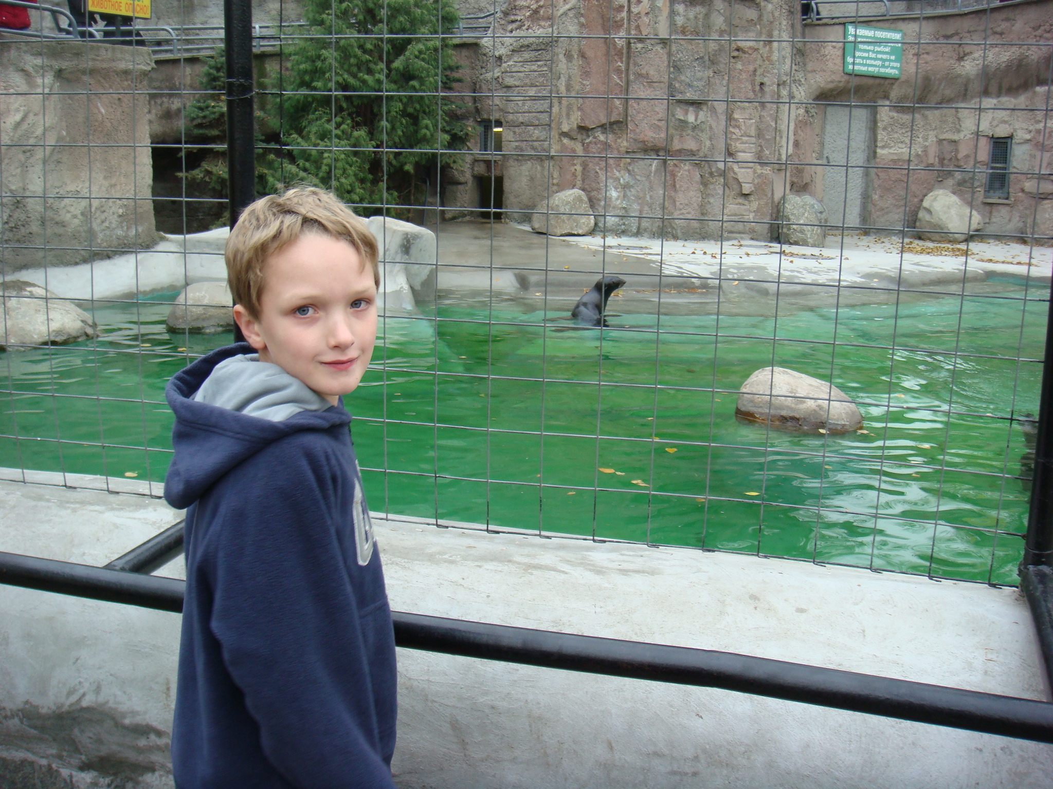 MoscowZoo/012Riley_and_the_seals_at_the_Moscow_Zoo.JPG