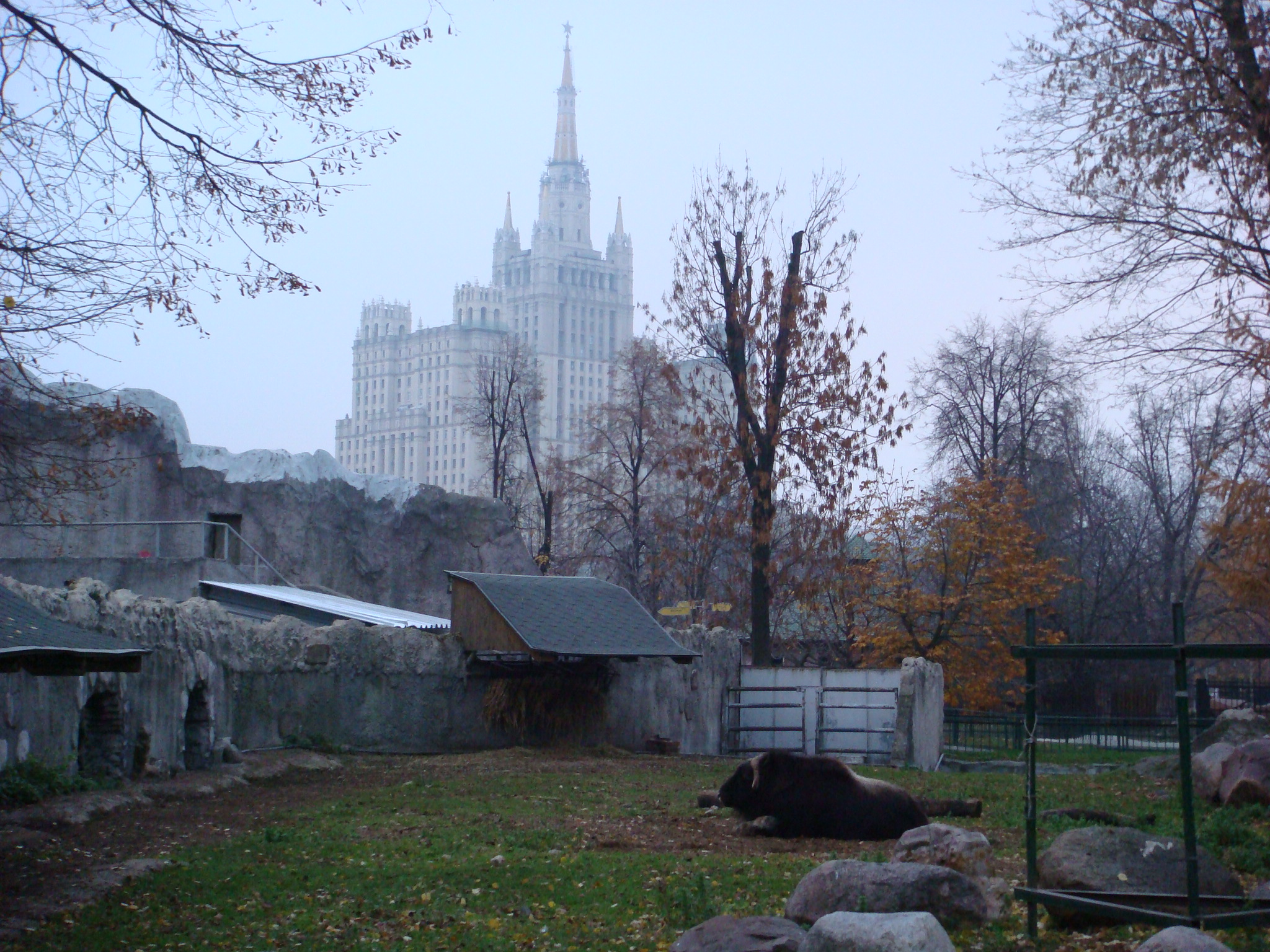 MoscowZoo/085_Moscow_Zoo.JPG