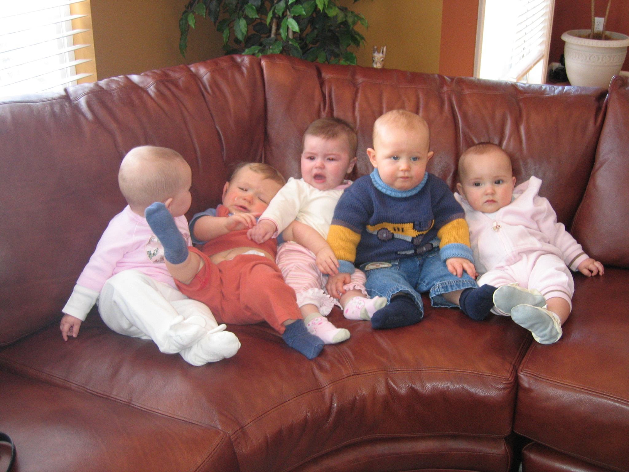 PEPS/Our_PEPS_friends-_Alexa__Gunner__Alexis__Logan_and_Megan_8_months__March_2007.jpg