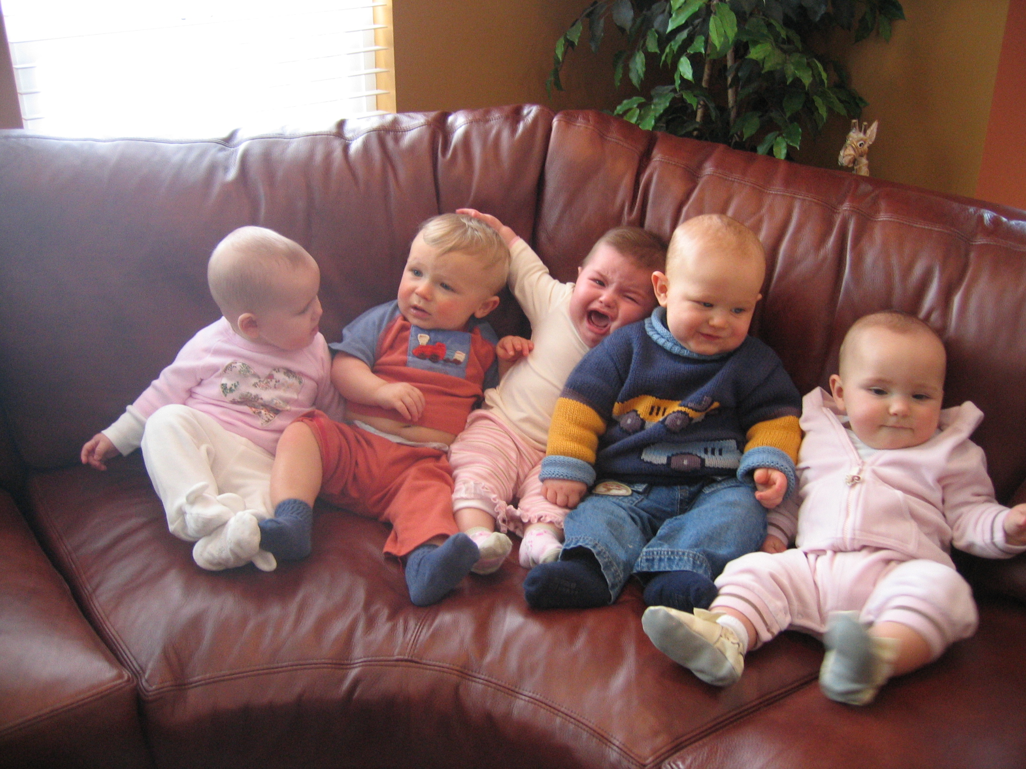 PEPS/Some_of_our_PEPS_friends-_Alexa__Gunner__Alexis__Logan_and_Megan_8_months__March_2007.jpg